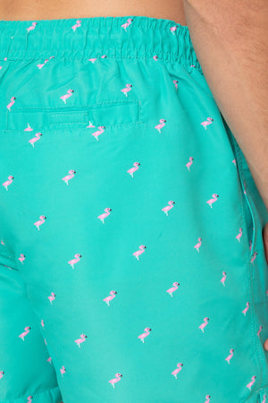BAÑADOR ESTAMPADO FLAMENCOS