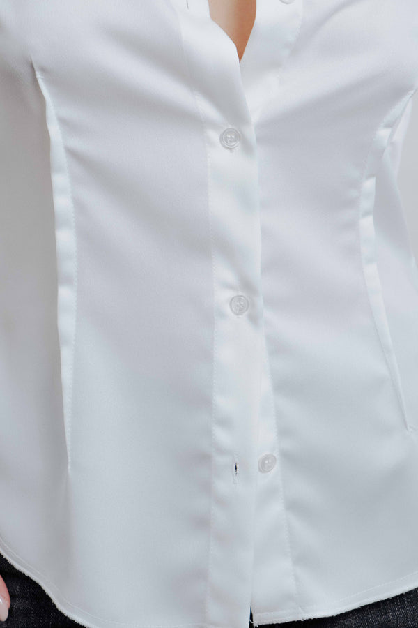 CAMISA ENTALLADA PINZAS